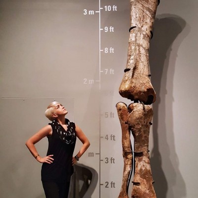 Ashley and her husband Lee studied saurpod legs (like this one!) from all over the world. This Camarasaurus leg can be seen at the Royal Tyrrell Museum.