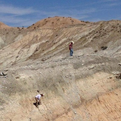 The best fossils are hard to reach! Ashley and Lee collecting Miocene fossils in the Barstow Formation, Barstow, CA.