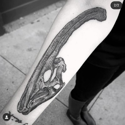 Ashely's Parasaurolophus tattoo