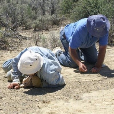 Jerry and John Eldredge collecting fossil fish in Oregon, 2009