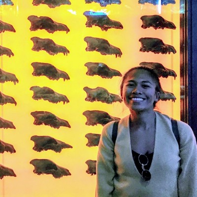 With some of the 400 skulls at the Dire Wolf exhibit, La Brea Tar Pits &amp; Museum.