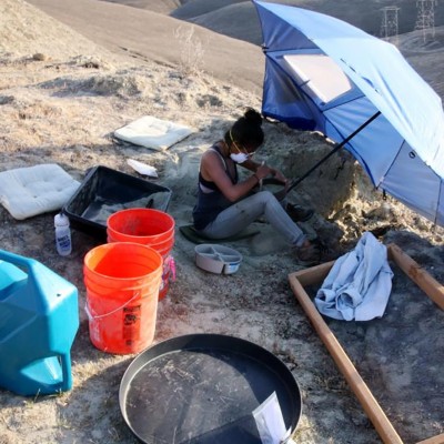 Screening for small Miocene-age shark teeth near Bakersfield, California, 2014. Photo by Vanessa Rhue.