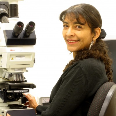 Karen in her lab&nbsp;at the University of Colorado Boulder.