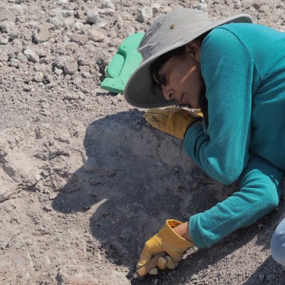 In the field: the Kaiparowits Formation of Southern Utah.