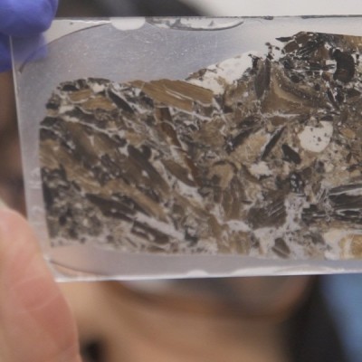 Analyzing a coprolite histology slide!! Photo Credit: Luke Groskin via Science Friday