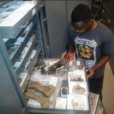 During his summer paleontology internship with the Mississippi Museum of Natural Science, Cam got to check out the dinosaur fossils in their collections.
&nbsp;