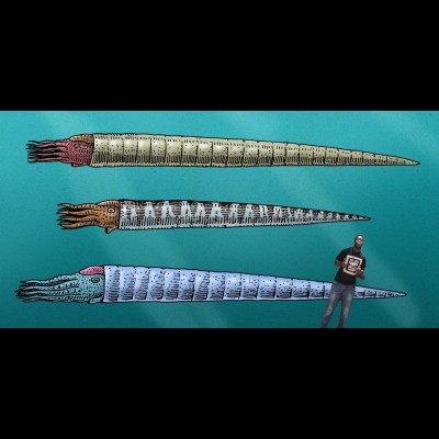 Here's Cam Muskelly as a scale bar for the giant Ordovician Orthocone cephalopods that reached 20 + feet in length. If Cam could time travel these are the critters he'd most like to see.