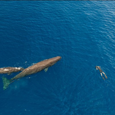 An aerial shot of Brian in action.
Photo by Steve De Neef.