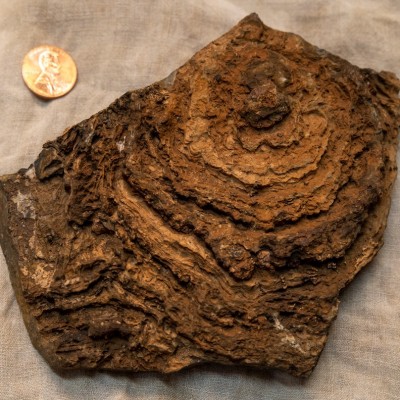 A stromatolite from the Timbiana Formation in Western Australia. This is what Ken's team is hoping to find as Perseverance probes the Jezero crater. Image source: mars.nasa.gov