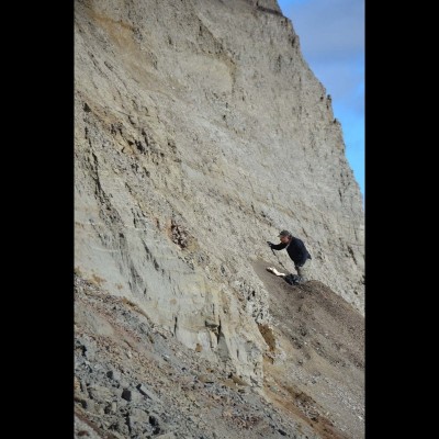 Greg immersing himself in the lovely Cretaceous strata...