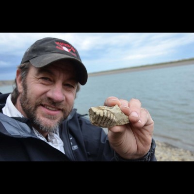 Greg Erickson with a tooth row from the duckbilled dinosaur he and Pat Druckenmiller named Ugrunaaluk (Inuit for 'Ancient Grazer').