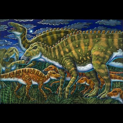 Ray's mixed media drawing of a family group of Ugruunaluk, Alaska's duckbilled dinosaur.