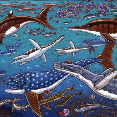 Ray's colored pencil drawing of the Jurassic Sea creatures found fossilized along the coast of England. Ichthyosaurs, plesiosaurs, pliosaurs, ratfish, marine crocodiles, ammonites and the giant filter feeding fish Leedsichthys abound.&nbsp;
