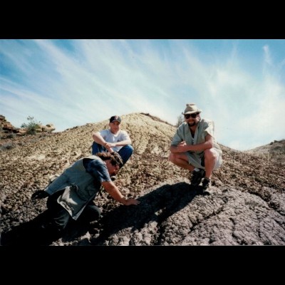 Digging Suskityrannus in 1997.
