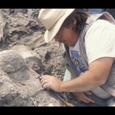 Jim digging up dinosaur bits at the M&amp;M site in 1995.