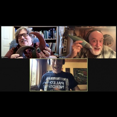 A screenshot of Jim Kirkland nerding out with Dave and Ray.
