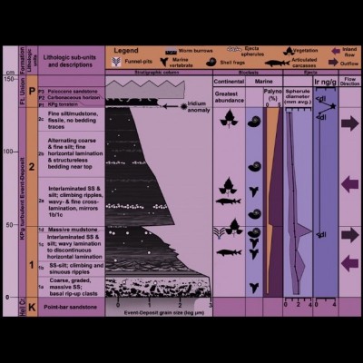 Tanis site stratigraphy and fossil distribution