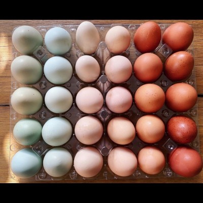 Natural egg colors, not from the Easter Bunny!