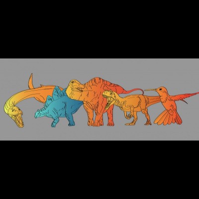 Jasmina's work has dialed in the metaboloc rates of various extinct animals with some astonishing findings. This schematic drawing of the animals that were investigated as part of her study. Metabolic rates and resulting thermophysiological strategies are color-coded, orange hues characterize high metabolic rates coinciding with warm-bloodedness, and blue hues characterize low-metabolic rates coinciding with cold-bloodedness. From left to right: Plesiosaurus, Stegosaurus, Diplodocus, Allosaurus, Calypte (modern hummingbird). &copy; J. Wiemann
