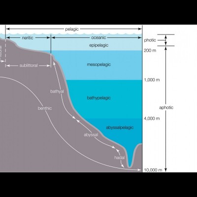 Know your Ocean Zones!