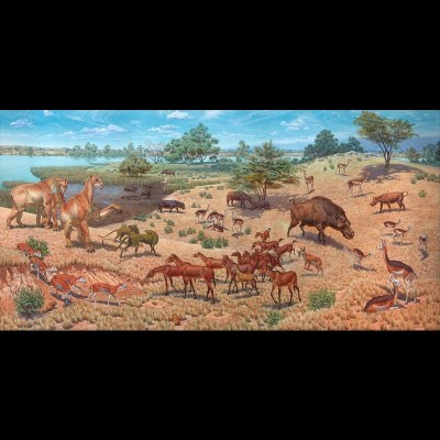 Nebraska Savannah, Late Oligocene-Early Miocene, 12 feet x 24 feet, painted by Jay Matternes for the Smithsonian National Museum of Natural History in 1961.