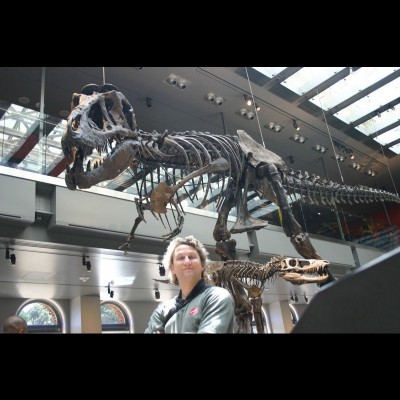 Thomas Holtz beneath a beautiful T.rex mount actually nicknamed 'Thomas', at the Natural History Museum of Los Angeles.