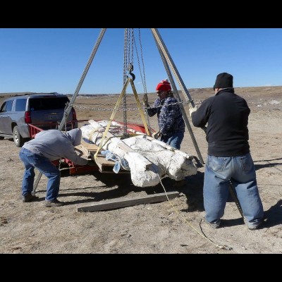 J.P. and crew at the Rodopodosaurus site at Como Bluff, Morrison Formation. Photo by Paul Sgrillo.