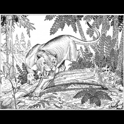 An exquisite pen and ink rendering of a saber toothed cat by Russell Hawley.