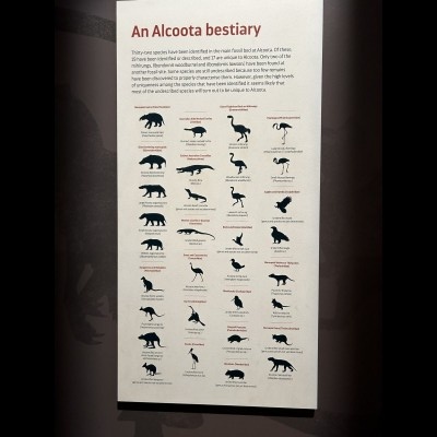 Animals of the Alcoota Fossil discovery
