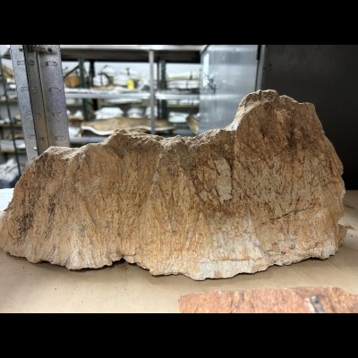 Shocked sandstone from Gosses Bluff meteor impact
