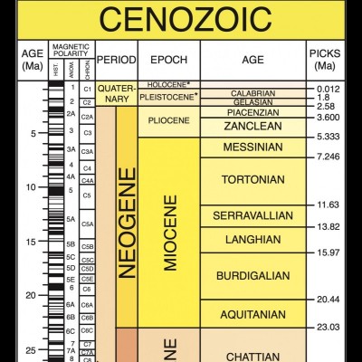 The Hominin Cenozoic