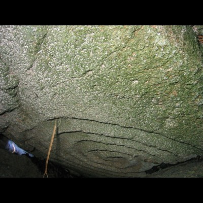 Spiral petroglyphs have been found all across Southeast, Alaska. Spirals are one of the 32 repeating graphic symbols that Genevieve has identified.
https://www.smithsonianmag.com/travel/the-mystery-of-this-petroglyph-covered-alaskan-beach-180981858/