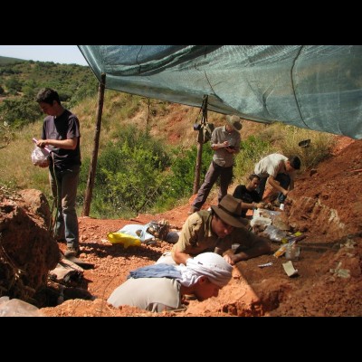 Steve and crew digging up Triassic metoposaurid amphibians in Portugal.