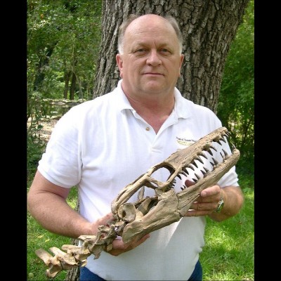 Mike Everhart holding the skull of a small Mosasaur.