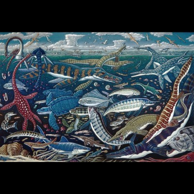 Not in Kansas Anymore, a large pastel drawing by Ray from 1994, created for the book Planet Ocean:Dancing to the Fossil Record with author Brad Matsen. It depicts a whole range of creatures known from the Western Interior Seaway, alebeit many of the animals lived at different times in the late Cretaceous oceans. Note that the long necked plesiosaurs have their head high out of the water. Ray and Mike discuss this idea on the podcast.
