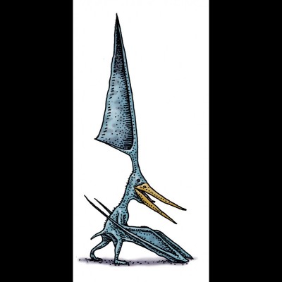 The very odd looking pterosaur Nyctosaurus sporting a pretty ridiculous looking headcrest. Was it really possible for such a thing to exist? Mike would like to take a closer look at the fossil evidence.