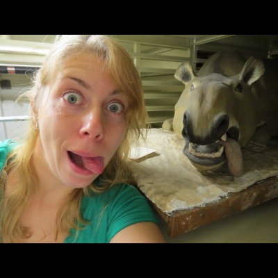 Meaghan posing with a hilarious Merycochoerus oreodont sculpture no longer on display at Yale's Peabody Museum.