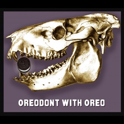 An oreodont with an oreo cookie because Ray just can't help himslef.