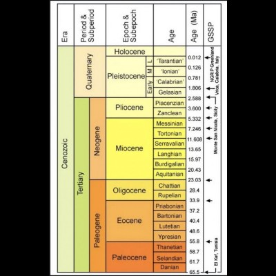 A handy guide for the CENOZOIC