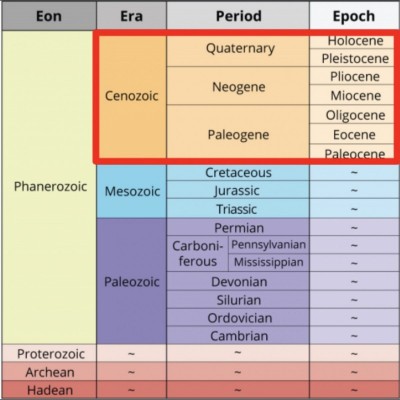 The Cenozoic Era amongst the others
&nbsp;