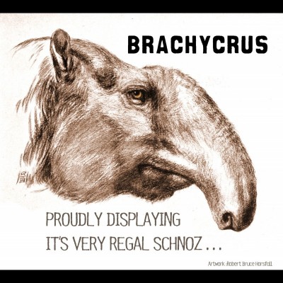 A fine well-trunked Brachycrus as drawn by Robert Bruce Horsfall back in the day, witha caption provided by Ray.