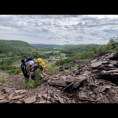 Exploring the Red Hill rocks in a 365 million year old Devonian aged roadcut near the town of Hyner, Pennsylvania.