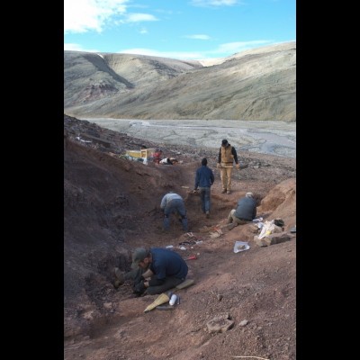 The Tiktaalik dig site on Ellesmere Island in Nunavut, Canada, 2008