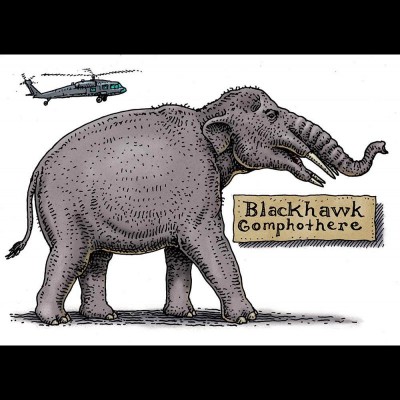 The Blackhawk Ranch fossil quarry is located south of Rock City on the lower slopes of Mount Diablo in Califoirnia. Gomphotheres and other Miocene fossils have been found there. Ted spent his formative paleo education cataloging the creatures unearthed here. A paleontologist by the name of King Arthur Richey did the original work on the site back in the early 1900s.