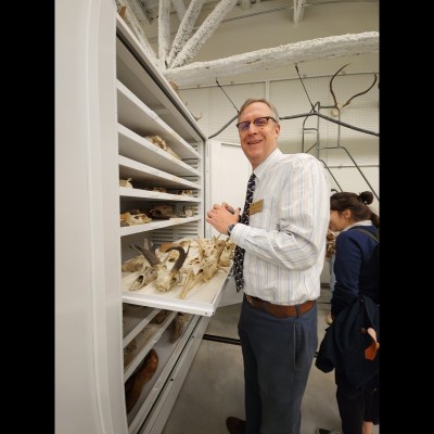 Ed with some fine pronghorn specimens at the University of Utah Museum. Behind him is his graduate student, Helena Machado