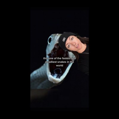 Lindsay Nikole is a zoologist and dynamic science communicator with creature related videos on Youtube, TikTok and Instagram. This is a screenshot from Tik Tok.