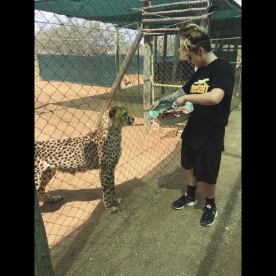 &nbsp;In her third year in college, Lindsay had an opportunity to intern at the Cheetah Conservation Fund&nbsp;in Namibia.&nbsp;