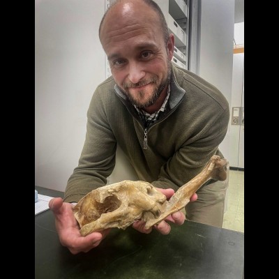 Ash Poust and an incredible fossil of a&nbsp;Nimravus 'false saber tooth' cat that died with one of it's sabers stuck in a fellow cat's leg bone, immortalized in a poem called 'The Innocent Assassins' written by Loren Eiseley who was there when it was found in Nebraska. "This was no ordinary death, though forty million years lay between us and that most gaping snarl. Deep-driven to the root a fractured scapula hung on the mighty saber undetachedTwo beasts had died in mortal combat, for the bone had never been released; there was no chance this cat had ever used its fangs again or eaten&mdash; died there, in short, though others of its kind grew larger, larger, suddenly were gone"&nbsp;