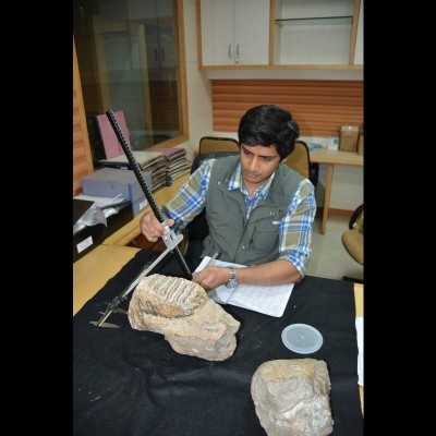 Advait studying an Elephas hysudricus molar at the Wadia Institute of Himalayan Geology, Dehradun, India