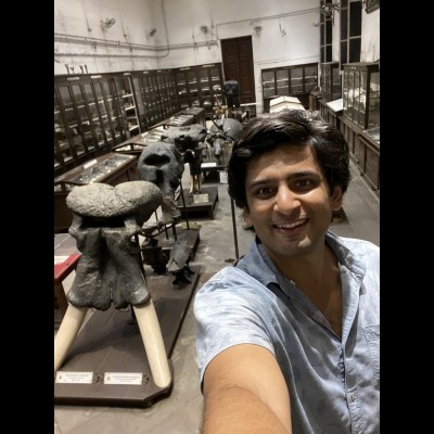 Advait in the Siwalik Gallery at the Indian Museum, Kolkata with the collection of fossil proboscidean skulls